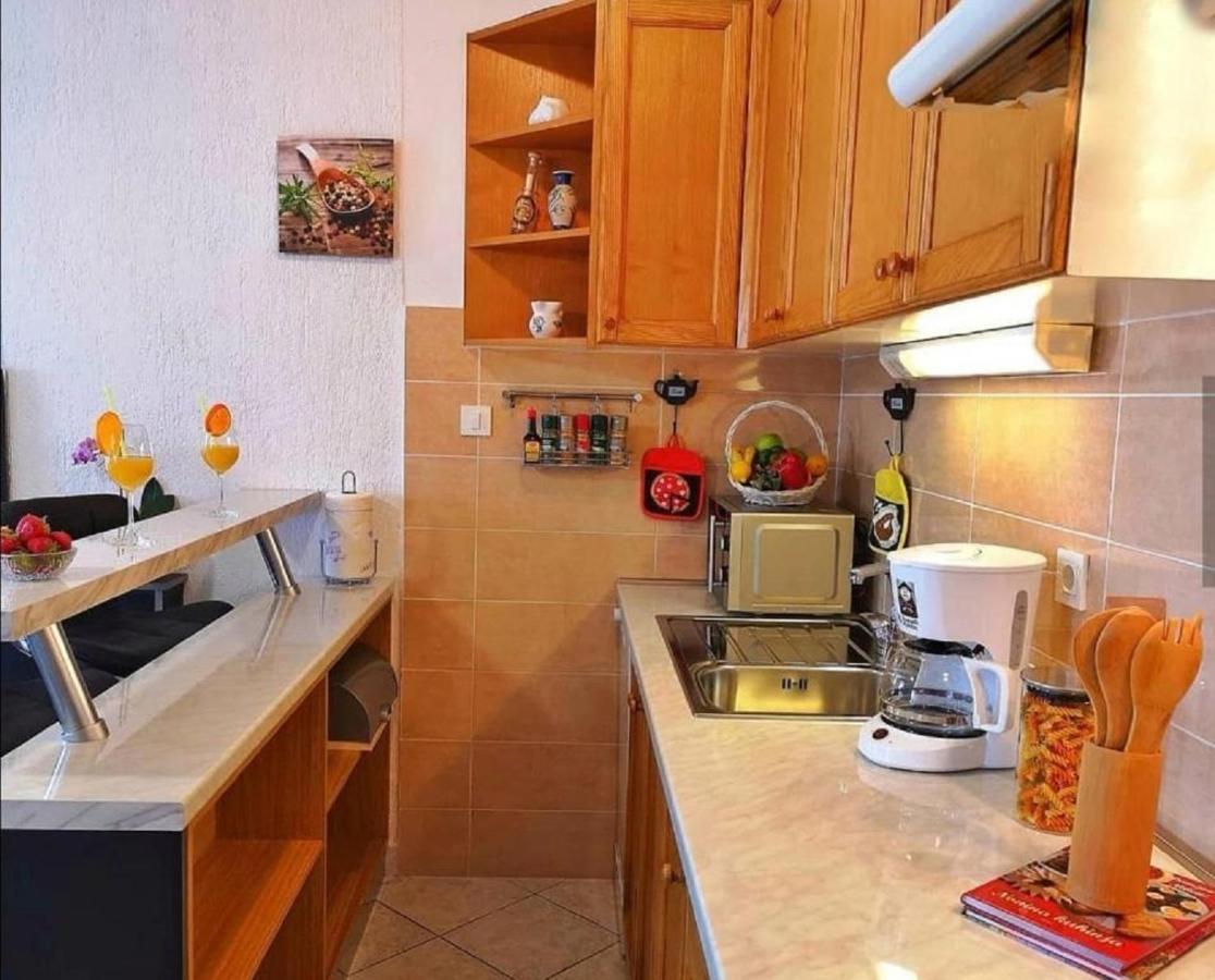 Holiday House Pasjak Sapjane Exterior photo